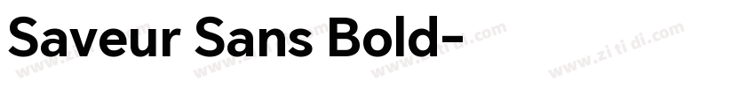 Saveur Sans Bold字体转换